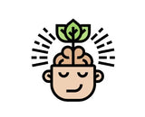Mindfulness notes